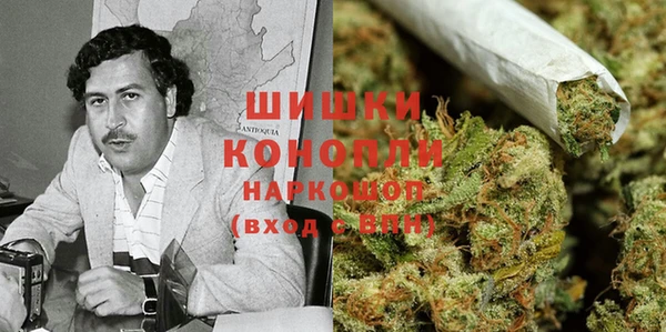 крисы Михайловск
