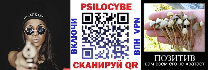 Псилоцибиновые грибы MAGIC MUSHROOMS blacksprut зеркало Нолинск