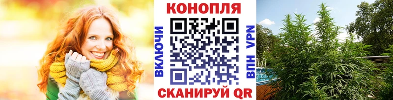 Каннабис Amnesia  Нолинск 